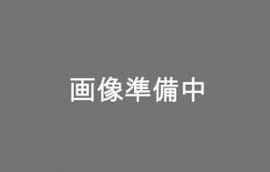 SHIMANO V}m X^_[hu[LP[uZbg@BK Y80098022 72455 L-469