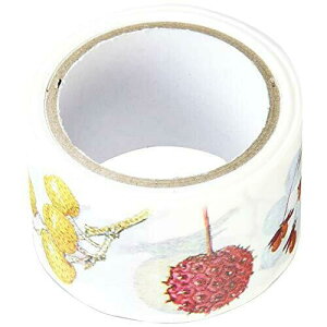 J~C\Y }XLOe[v H̎ 25mm×5m GR-0034