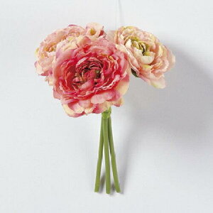 AXJ(Asca) asca  iLXu[P (13{) Ԍa9cm AeB[NsN A-32868-003A