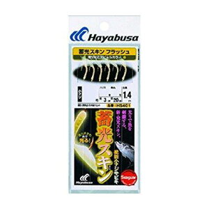 nuT(Hayabusa) nuT ~XLTrL (hAWܖ)tbV 6-1