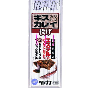 nuT(Hayabusa) LXEJCEn[EACiܖڒ N-502-7