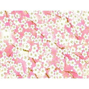 ԉ yFTz06356 A3 (4103016)