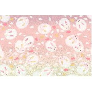 ԉ yFTz7080  A3 (4100189)