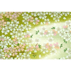 ԉ yFTzKA2985 (Όn)A3 (4100149)