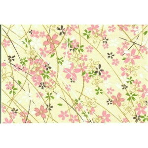 ԉ yFTz6645  n A3 (4100152)