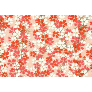 ԉ yFTz7417 sN A3 (4100018)