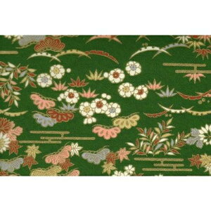 ԉ yFTz7025 e݂U炵  A3 (4100031)