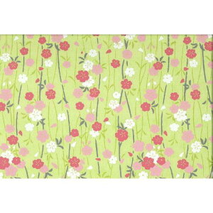 ԉ yFTz7004  A3 (4100274)