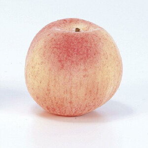 アスカ(Asca) Aー20258 ピーチ#004 ピーチ【野菜】【くだもの】【桃】【もも】 (72-20258-4)