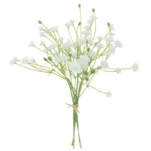 AXJ(Asca) asca  JX~\Eo` zCg