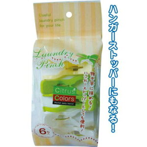 ZCv Citrus ColorsChƃLb`s`6