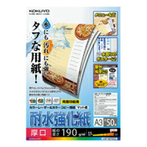 RN J[[U[J[Rs[p(ϐ)  A3 50(LBP-WP330)