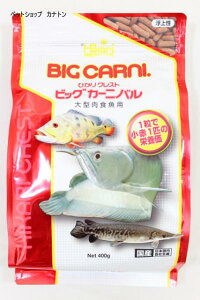 キョーリン ひかりクレストビッグカーニバル400g 単品