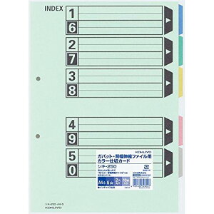 RN J[d؃J[h(KobgEwLkt@CpE5Ro) A4^e 2 1pbN(10g)(VL-250)