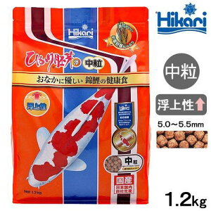 L[ Ђ蕂  1.2kg