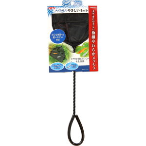 GEX(WFbNX) WFbNX _JC ₳lbg