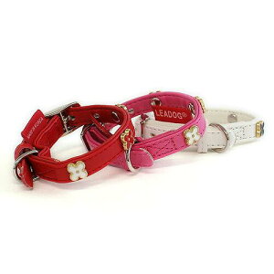 [hbO N[o[sJ[3SAJCPC]3S]RD