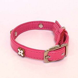 [hbO N[o[sJ[3SsNCPC]3S]PK