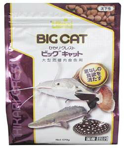 L[ NXgrbOLbg 570g 3301355@Pi