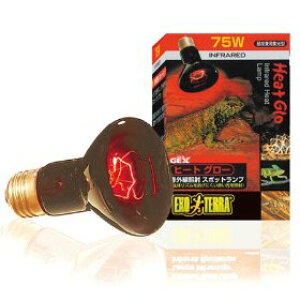 GEX(WFbNX) q[gO[X|bgv 150W EXO-TERRA yۉv/O/UV/঒ޗp/ޗp/piz