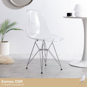 Eames DSR C[YTChVF`FA@J[FNAm116009_CLn