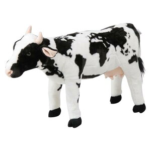 EVi[h}bvj 8981|31i82470j