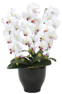 G}HA[gt[ ӒZ[X zCg×ԃbv