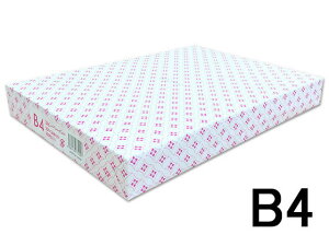 Rs[y[p[ JPN B4 500 Forestway