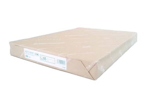 TCNRs[pNew܂100 A3 500 q