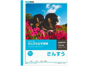 񂪂wK B5 񂷂 17}X =t LNgE L2-2