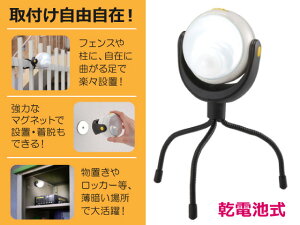 LEDǂłZT[Cg TV ASL-090