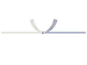 ̂  @Ȃ A4 100 ^J 2-616