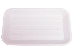 gC(tBȂ) 100 ɓ[eCN PT-1