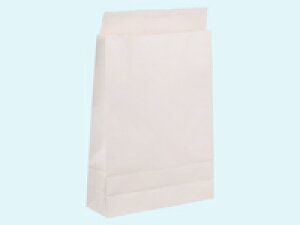 宅配袋 大 100枚 スーパーバッグ 0926600960