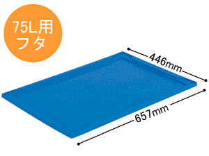 ܂肽݃Rei75Lpt^ Ob 702900