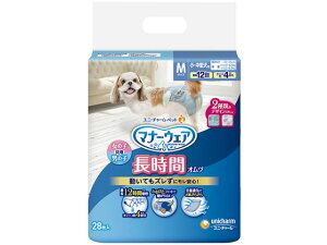 }i[EFA ybgpIc M 28 jE`[