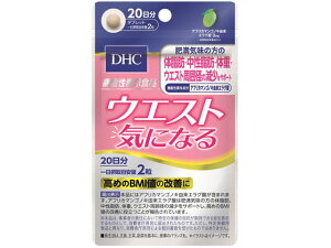 20 EGXgCɂȂ 40 DHC