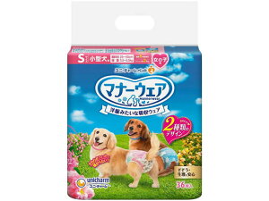 }i[EFA ̎qp ^pSTCY 36 jE`[