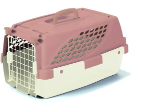 FIRSTRAX ybgXC[g S `R XyNguYWp