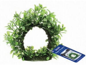 eg EH[^[[X S XyNguYWp