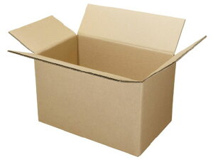 ダンボール箱 大大(540×325×320mm) 10枚 Wフルート ジョインテックス B240J-LL