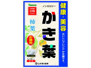 �����t �����p 5g×48�� �R�{��������