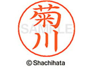 �l�[���y���p�l�[�� �V���o�[ ���� �e�� �V���`�n�^ X-GPS-0885