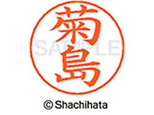 �l�[���y���p�l�[�� �V���o�[ ���� �e�� �V���`�n�^ X-GPS-0886