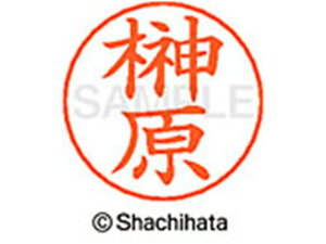 �l�[���y���p�l�[�� �V���o�[ ���� �匴 �V���`�n�^ X-GPS-1200