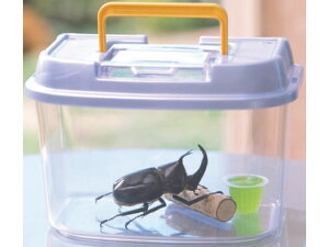 烉h p[u[ SSTCY ACXI[} CY-SS