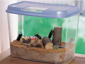 烉hW{ p[u[ 3L ACXI[} CY-3L