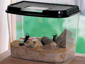 烉hW{ ubN 3L ACXI[} CY-3L