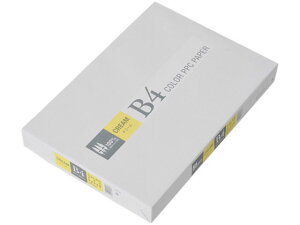 J[Rs[p N[ B4 500 APP CPY003