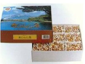 ˂񋄃It M[イ ɐ 2000_ Zlt@